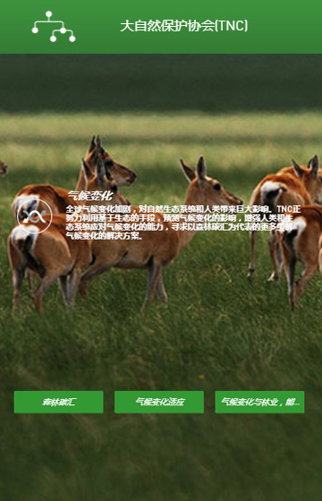 大自然保護(hù)協(xié)會(huì)網(wǎng)站案例圖片3