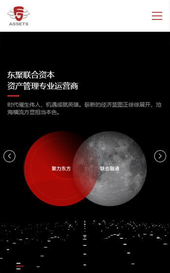 東聚聯(lián)合網站案例圖片0