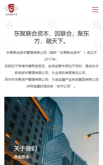 東聚聯(lián)合網站案例圖片1