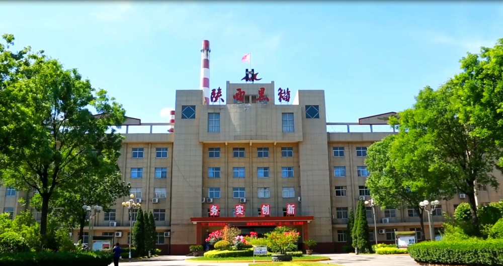 六年同風(fēng)雨   全員共歡騰