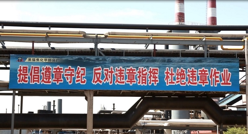 面對(duì)面“把脈問(wèn)診” 實(shí)打?qū)崱办畈?qiáng)身”