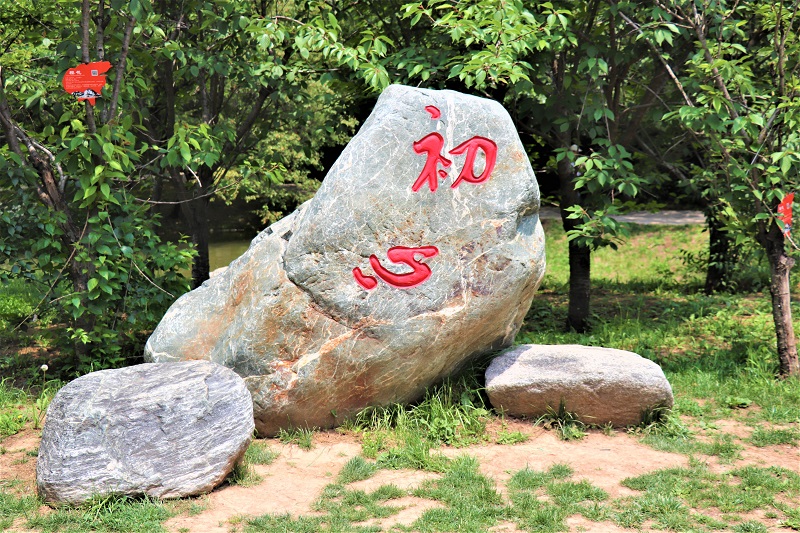 ׌�tɫ���񼤄�(l��)�T��������(chu��ng)��?li��n)��?d��ng)�О�