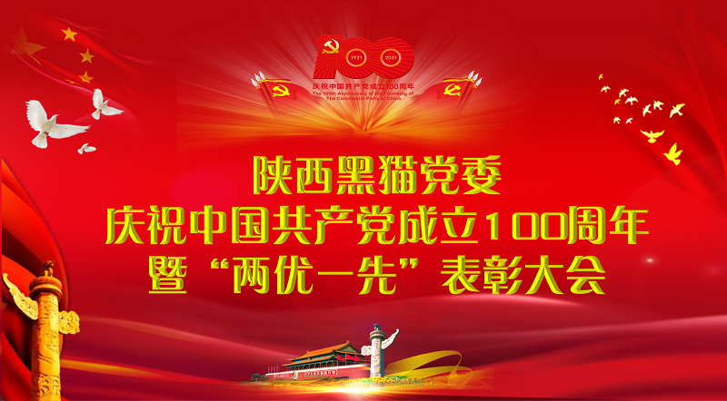 賡續(xù)紅色血脈  汲取前行力量  高質(zhì)量打造民營(yíng)上市公司黨建品牌