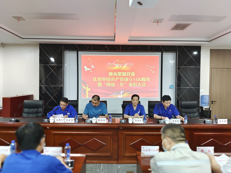 賡續(xù)紅色血脈  汲取前行力量  高質(zhì)量打造民營(yíng)上市公司黨建品牌