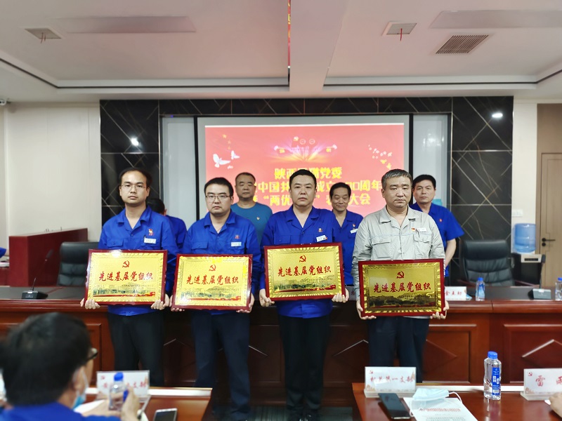 賡續(xù)紅色血脈  汲取前行力量  高質(zhì)量打造民營(yíng)上市公司黨建品牌