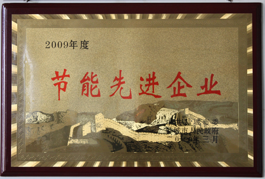 節(jié)能先進(jìn)企業(yè)
