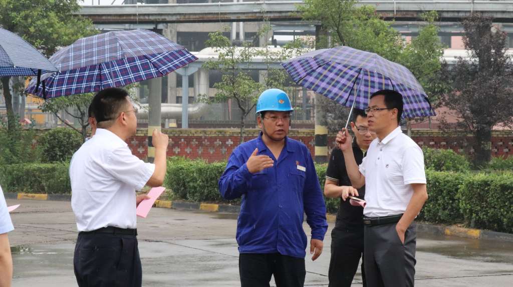 王興華一行調(diào)研陜西黑貓穩(wěn)增長