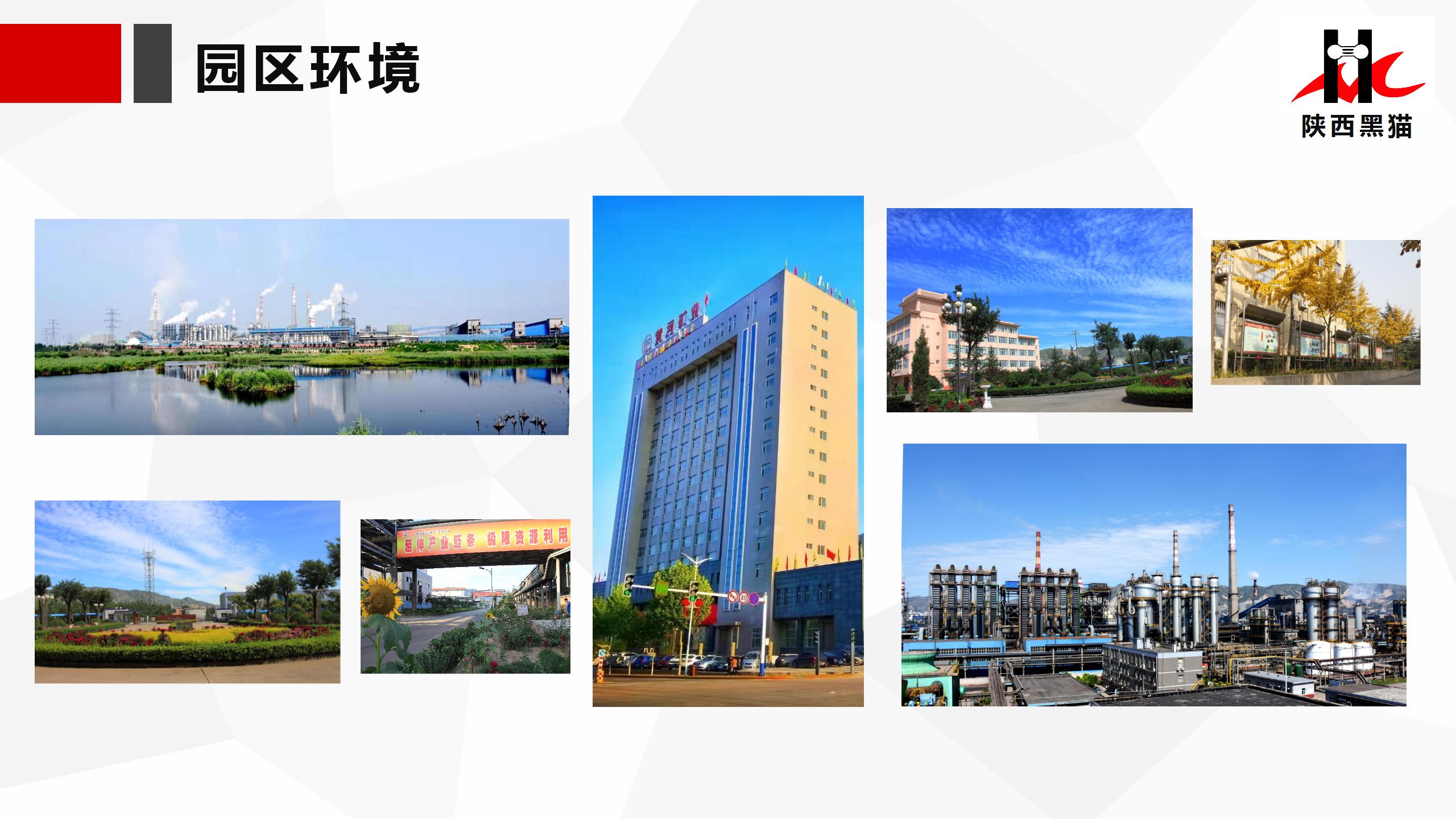 共享機(jī)遇    共贏未來