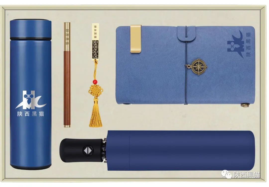 放飛夢想，揚帆起航