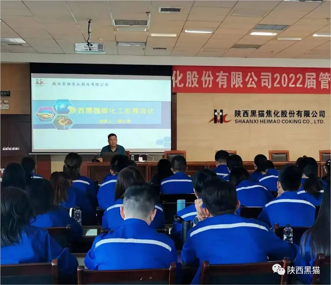 放飛夢想，揚帆起航