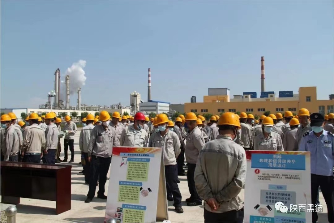 ��(n��i)�ɹź�؈�M���_չ������U(xi��n)�������